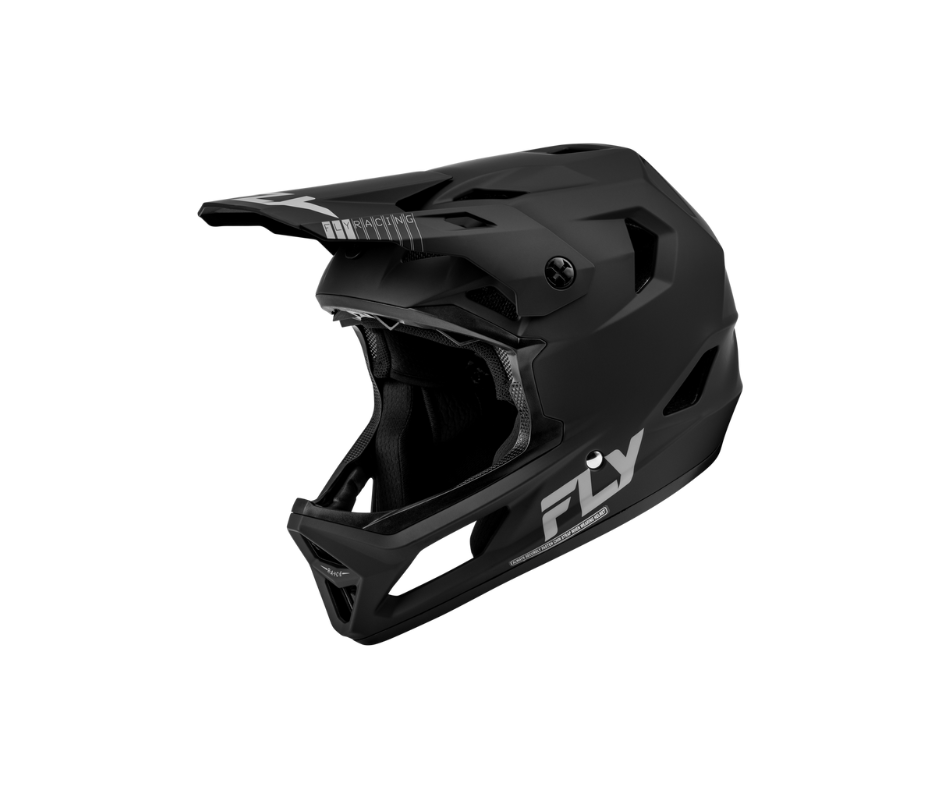 Fly Racing Rayce Repeat Helmet
